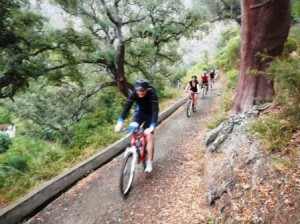 mountain bike ecotour